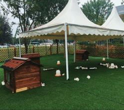 -萌宠亲子动物乐园(槐房万达店)