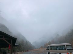 -东天目山风景区