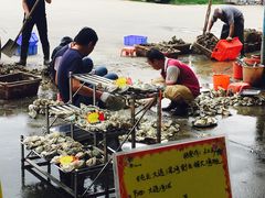 -蚝专家(北滘店)