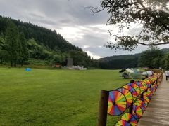 -武陵山森林公园