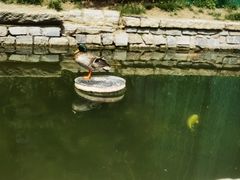 -三里河公园