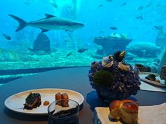 -OSSIANO奥西亚诺海底餐厅