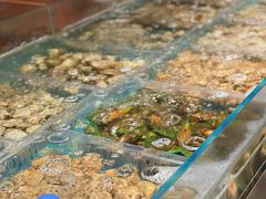 -萧邦音乐会所KTV·蒸汽活海鲜自助(福田店)