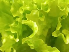 -齐齐哈尔烤肉·烧烤·烤鱼(万科时一区店)