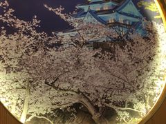-青空日料烧肉烧鸟店(后湖兴业路店)