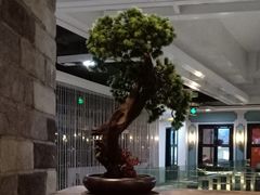 大堂-湊湊火锅·茶憩(新中关购物中心店)