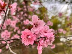 -东方绿舟景区