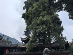 -峨眉山报国寺