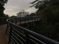 -玉树公园