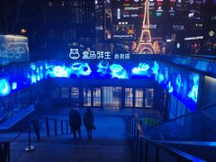 -盒马鲜生(杭州运河上街店)