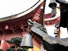 -上海东林寺(金山区)