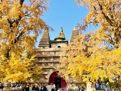 -北京石刻艺术博物馆(五塔寺)