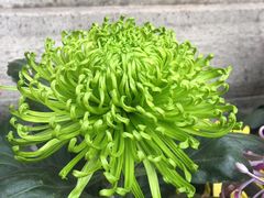 -汇龙潭