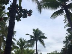 -三亚海棠湾南田温泉神龙谷