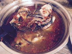 风鑫铃罗非鱼-风鑫铃罗非鱼(道沟店)