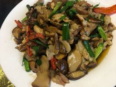 -翕庐小苑