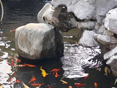 -西林禅寺