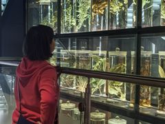 -广东中医药博物馆