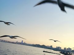 -星海广场