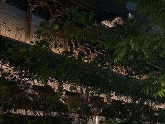 -乌镇东栅景区