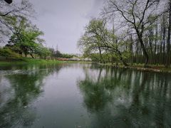 -上海共青森林公园