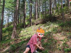 -苏木山森林公园
