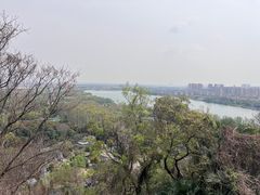 -焦山风景区