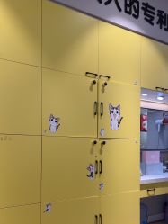 -洗脸猫·洗脸吧