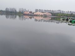 -上海长兴岛郊野公园