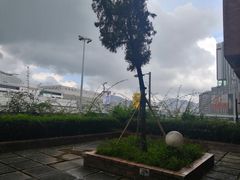 -香港理工大学