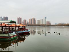 -莲花池公园
