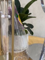 -美莱医疗美容医院