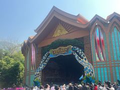 -西双版纳原始森林公园