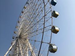 -琴岛之星摩天轮