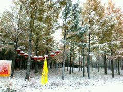 -塞罕坝国家级自然保护区