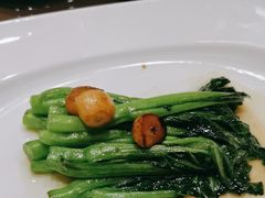 -中苑海韵