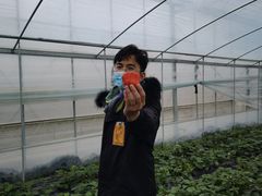 -建德果蔬乐园绪塘草莓基地