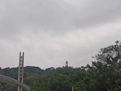 -大金鹰园
