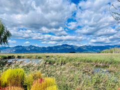 -野鸭湖国家湿地公园