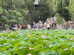 -莲池书院博物馆