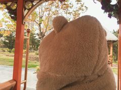-威海香海豪生度假酒店·豪生咖啡厅