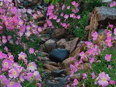 -南京市江宁方山