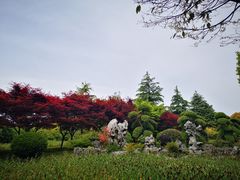 -上海鲜花港