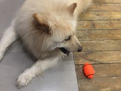 -肆兮眼镜·蔡司·徕卡战略合作店(大坪店)