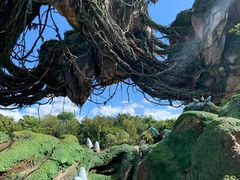 -奥兰多迪士尼动物王国乐园