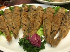 -好妈王饺子(滂江街店)