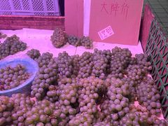 -五里多农博广场