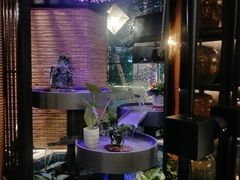 -润园四季椰子鸡火锅(海上世界店)