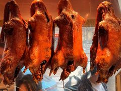 -春梅里卤鹅馆·47年老字号(中山路店)