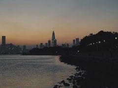 -深圳湾公园(南山区)